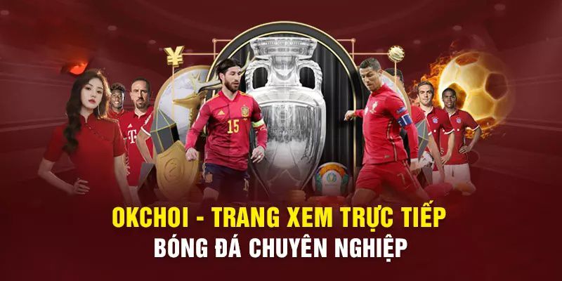 Giới Thiệu Về Okchoi